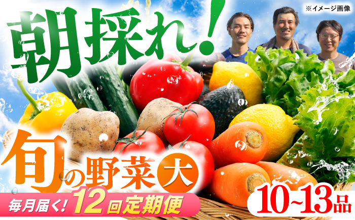 【12回定期便】土佐の太陽をいっぱいに浴びた旬の野菜セット「大」 (12回配送)【土佐野菜】 [ATBA010]