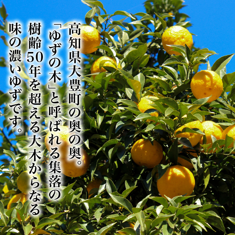 訳あり ゆずしぼり 100% 300ml ×5本 1500ml 1.5l ユズ 柚子 果汁 ストレート お酢 ゆのす ユズ酢 無塩 ポン酢 お湯割り 炭酸割り ジュース お寿司 さっぱり B級品 高知