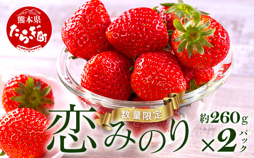 
【先行予約】熊本県産 いちご【恋みのり】約260g×2パック 2025年1月～発送 ≪ 苺 イチゴ 数量限定 坂下農園 イチゴ 2パック 苺 フルーツ 果物 春 名産 熊本 多良木町 ビタミン 旬 先行予約 ≫103-0003
