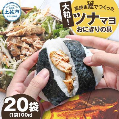 ふるさと納税 土佐市 鰹ツナパウチ 100g×20袋セット