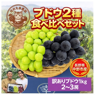 
                  長野県中野市産のぶどう　2種食べ比べセット　計1kg(2～3房)【1609757】
                