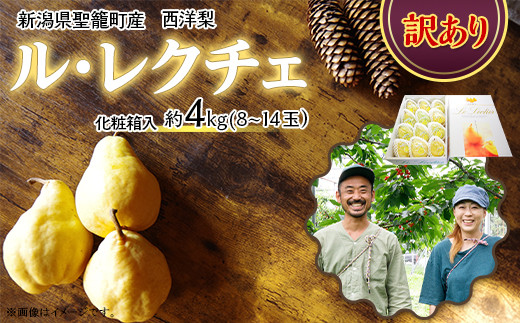 
                  【訳あり】西洋梨ルレクチェ約4kg（8～14玉）
                