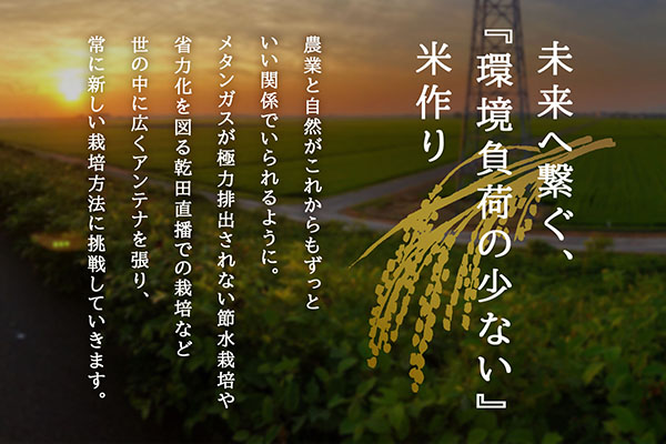U米MON 庄内町産 はえぬき 5kg 令和7年産 2025年産 ブランド米 コシヒカリの原点、亀の尾発祥の地 庄内 はえぬき 5kg