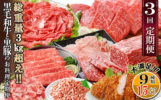総重量3Kg越え、鹿児島県産黒毛和牛と黒豚のお料理定期便(3回配送)　EE0−0002【配送不可地域：離島】【1504377】
