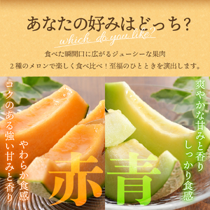 【2026年7月後半発送】津軽のメロン 約8kg (赤肉・青肉セット) 4～6玉・秀～優 青森県産