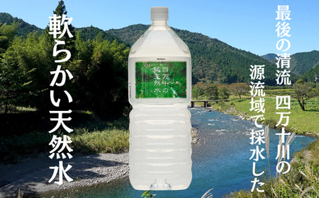 【定期便全１２回】四万十の純天然水２L×６本