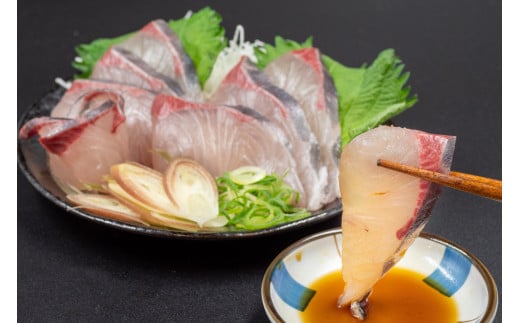 須崎勘八 250g～450g | 勘八 環八 カンパチ かんぱち ブランド 魚 鮮魚 海鮮 刺身 さしみ 焼き魚 料理 簡単調理 背 腹 下処理有 高知県 須崎市 
