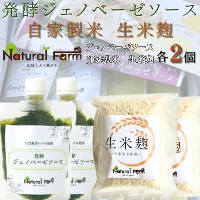 ふるさと納税 枕崎市 発酵ジェノベーゼソース&amp;生米麹　各2パックセット A5-21