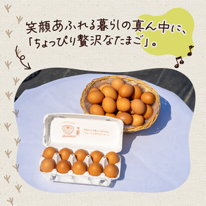 【定期便6回】こだわり たまご 30個 (10個×3パック) 新鮮 平飼い 卵 ﾀﾏｺﾞ