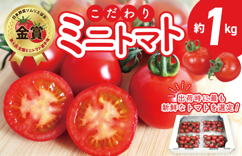 こだわり ミニトマト 4パック 合計 約1kg【選手権 金賞受賞 日本野菜ソムリエ協会 新鮮 野菜 泉佐野産 とまと やさい 高評価 数量限定】