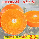 【ふるさと納税】小林果園の 媛一まどんな (約2.8kg)【C24-16】_ みかん ミカン 蜜柑 柑橘類 柑橘 フルーツ 果物 くだもの まどんな マドンナ 人気 美味しい 愛媛県 八幡浜市 ふるさと 【1124422】