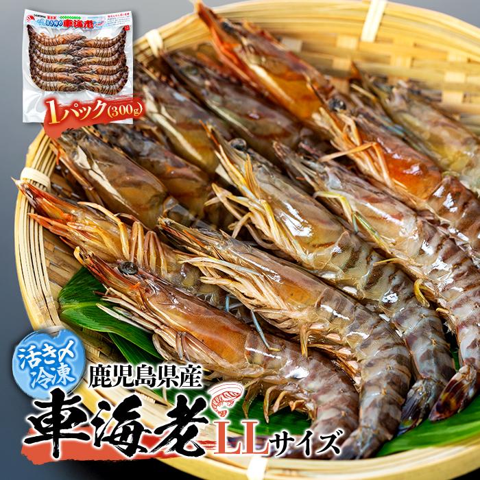 【ふるさと納税】鹿児島県産 活き〆冷凍 車海老（養殖）LLサイズ 300g（10～12尾）1パック セット | エビ 海老 送料無料 屋久島 屋久島町 鹿児島 鹿児島県 九州 海鮮 エビフライ エビチリ 魚介類 冷凍 お取り寄せ オススメ