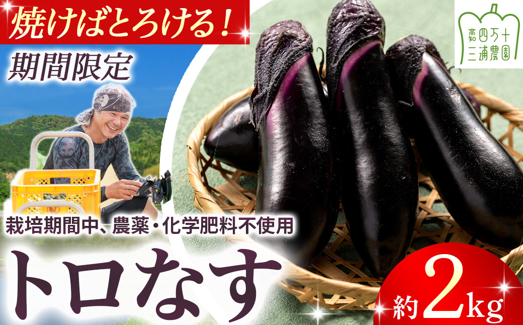 
                  【予約受付】【期間限定】 焼いてトロける！三浦農園のトロなす2kg 栽培期間中農薬・化学肥料不使用 ／Fms-16 農産物 新鮮 ナス なす 茄子 焼きナス 野菜 大量 農薬不使用 化学肥料不使用
                
