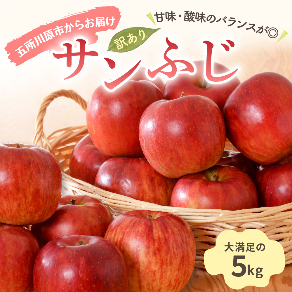 【2027年1月中旬発送】【訳あり】りんご 青森産 約5kg サンふじ