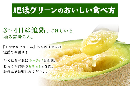 【先行予約】「ミヤザキファーム」 肥後グリーンメロン2玉 糖度14度以上(14度-17度) 熊本県氷川町産《6月中旬-6月末頃出荷》