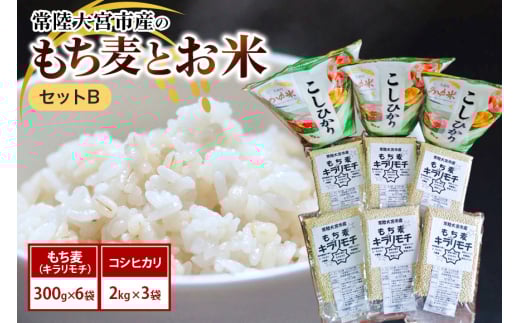 常陸大宮市産のもち麦とお米セットB 大麦 雑穀 白米 コシヒカリ 食物繊維 健康 茨城県 ho1255
