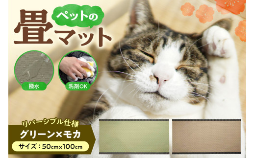 ペットの畳マット　100　グリーン×モカ