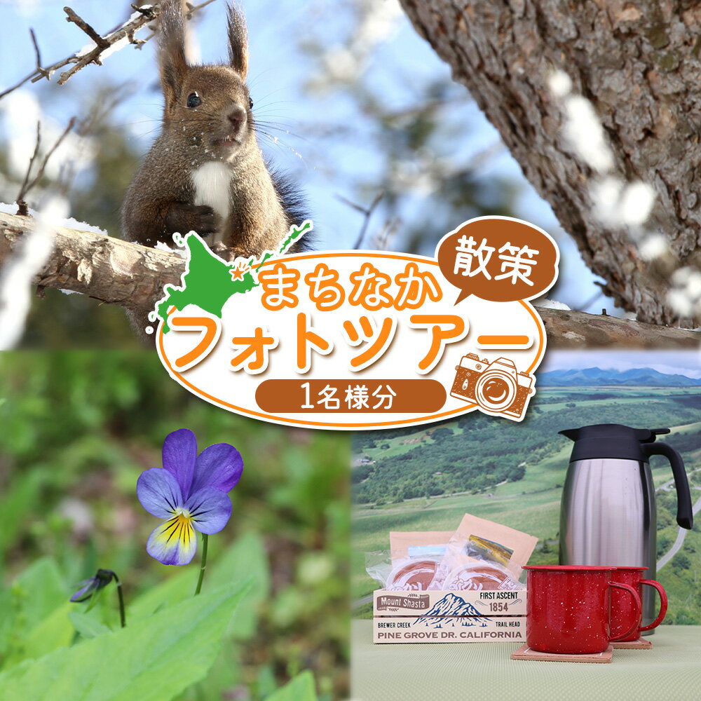 【ふるさと納税】まちなか散策 フォトツアー 体験チケット 1人分 オンライン 申請 ふるさと納税 北海道 中標津 散策 探検 公園 写真 カメラ 撮影 動物 植物 風景 ツアー 早朝ツアー 体験 チケット 券 1名 中標津町【32012】