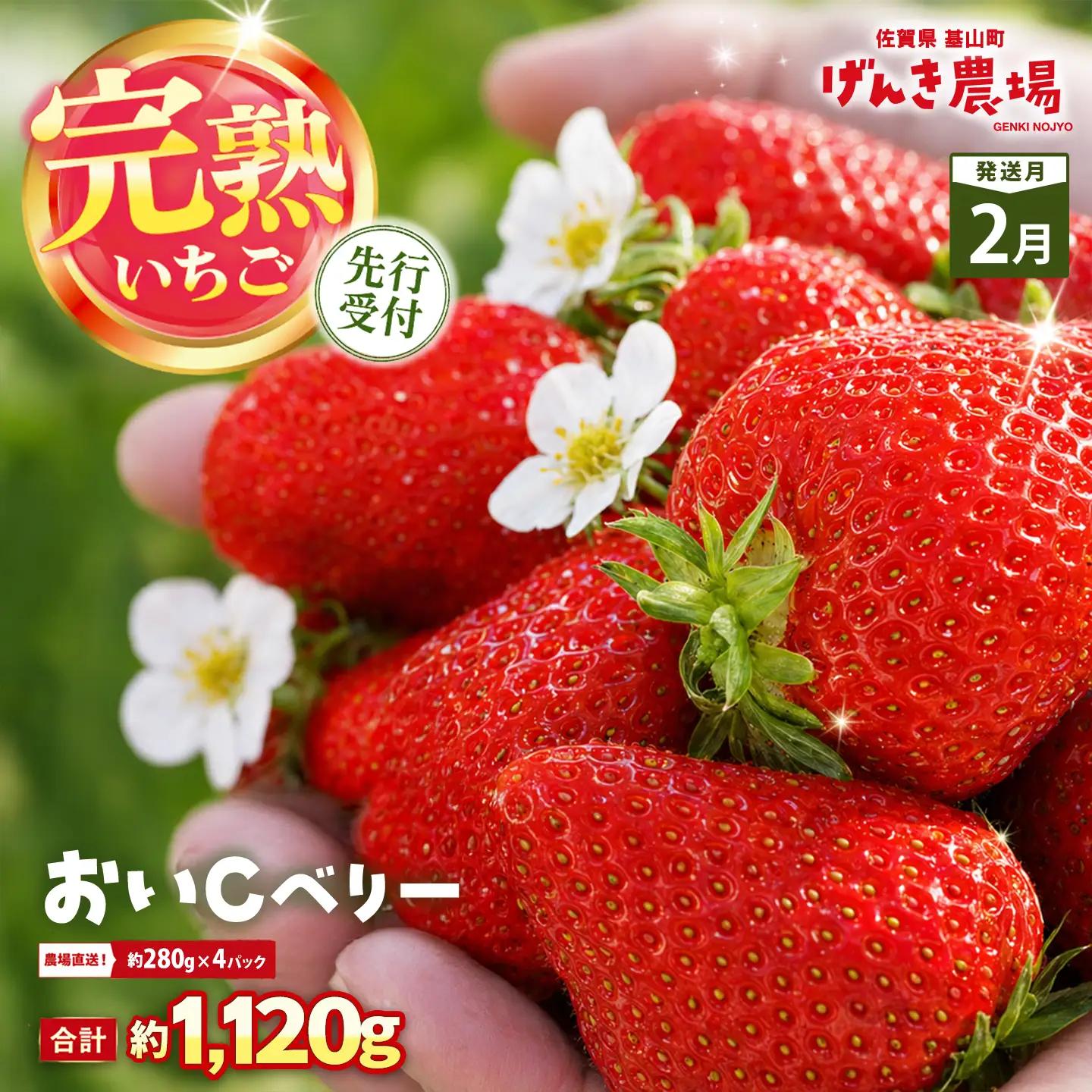 【2027年2月発送】【先行予約】【農場直送！】おいCベリー(約280g×4P) K100090