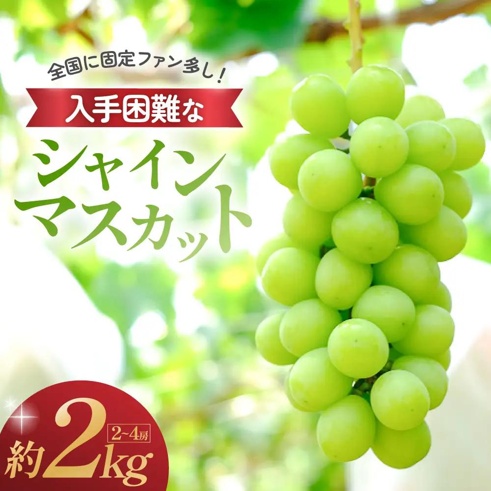 シャインマスカット 2kg 先行予約 山梨シャインマスカット