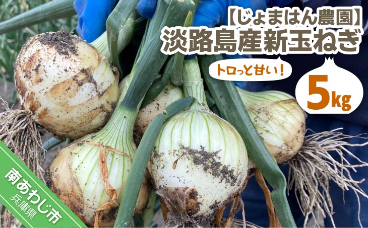 【新玉予約】トロっと甘い！！淡路島産新玉ねぎ 5㎏