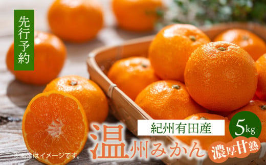 G7344_【2025年 先行予約】紀州 有田産 濃厚甘熟 温州みかん 5kg (小粒サイズ)