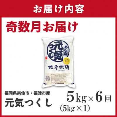 ふるさと納税 宗像市 令和7年産 【定期便/年6回】元気つくし5kg【ほたるの里】_HB0204 |  | 01