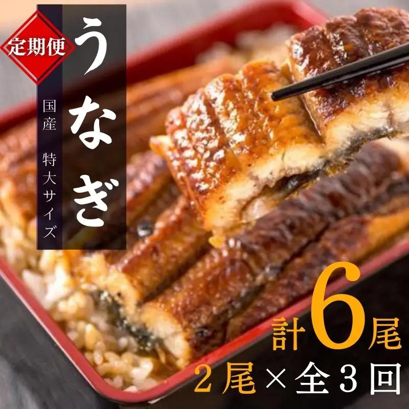 【3回定期便】大型国産うなぎ蒲焼き 計6尾【tkb309】