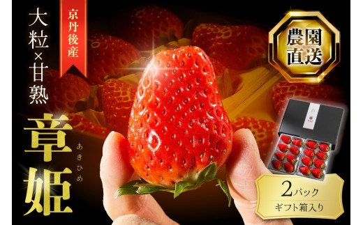 【京丹後産いちご章姫】農園直送便！新鮮大粒いちご 2パック ギフト箱入り／北畿水産　2026年1月20日～順次発送予定 先行予約 苺 いちご イチゴ フルーツ 果物 ギフト 贈り物にも　HK00307