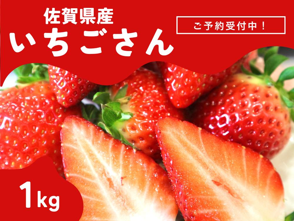 
            濃厚苺”いちごさん”  1kg［A13719-04］
          