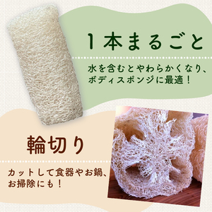 ヘチマたわし (Sサイズ) 未漂白 たわし ボディスポンジ 有機JAS認定農園