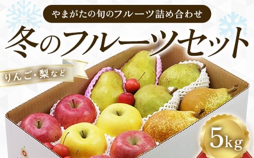 
            《先行予約 2025年度発送》冬のフルーツセット5kg  りんご リンゴ 林檎 デザート フルーツ 果物 くだもの 果実 食品 山形県 FSY-1898
          