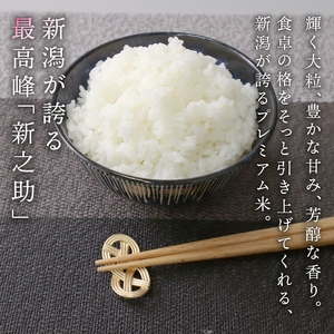 【先行予約】令和8年産 無洗米 新之助 5kg 新之助 kwsMSS