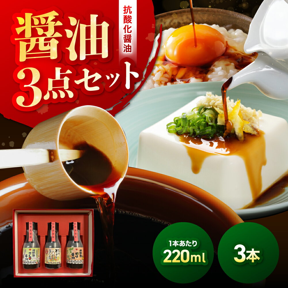 【ふるさと納税】抗酸化醤油3点セットプラン | 本醸造しょうゆ りんご醤油 柚子醤油 醤油 しょうゆ 抗酸化 セット 長野県 信州 南信州 飯田