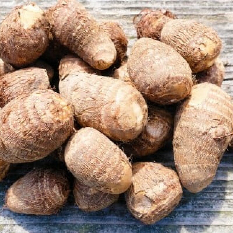 【ふるさと納税】里芋 ねっとりもちもち 小郡産の里芋 白芽大吉 2.5kg ふくおかエコ農産物認証 ゆうき自然農場 野菜 芋 　お届け：2025年11月～2026年4月