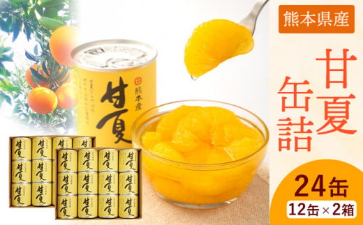 甘夏缶詰24缶入り (12缶×2箱)《60日以内に出荷予定(土日祝除く)》熊本県 葦北郡 津奈木町 あしきた農業協同組合 JAあしきた 柑橘 甘夏 あまなつ フルーツ 果物 缶詰 送料無料