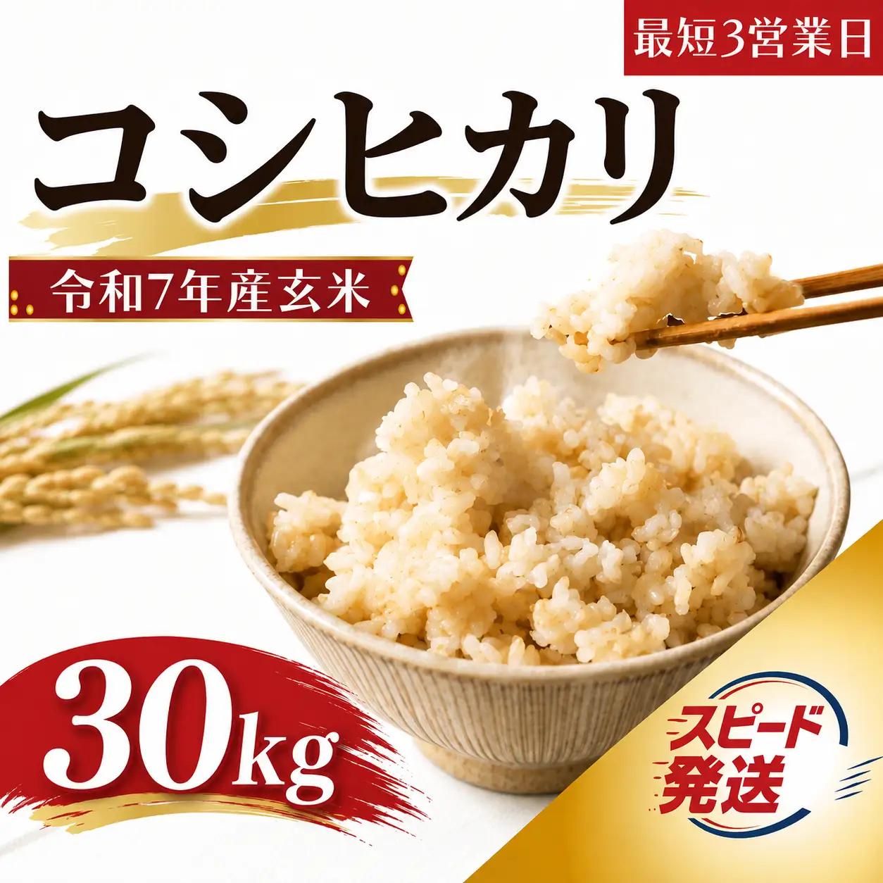 【玄米】 国産 100% 30kg 玄米