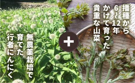 生行者ニンニク 700g 山菜1品 / ニンニク にんにく [Q655xch] 