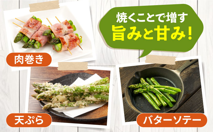 【先行予約】壱岐産　アスパラガス 2kg 【2025年3月以降順次発送】《壱岐市》【壱岐市農業協同組合】 [JBO148]