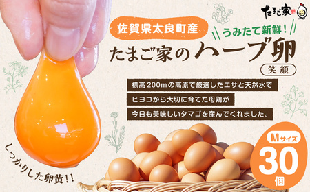 たまご家のハーブ卵（笑顔）30個 卵 たまご 玉子 ハーブ卵 新鮮卵 たまご家の卵 エッグス 佐賀県 太良町 MA2  たまご たまご たまご