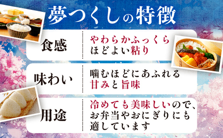 【定期便：12ケ月】令和７年産 福岡県産米 夢つくし 15kg 精米 CY010sub12