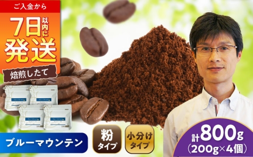 ブルーマウンテンNo.1 コーヒー粉 200g×4個 (粉/中挽き) / 珈琲 コーヒー 粉 / 瀬戸市 / Ｃｏｆｆｅｅ　ＳＡＫＵＲＡ [BBAB094]