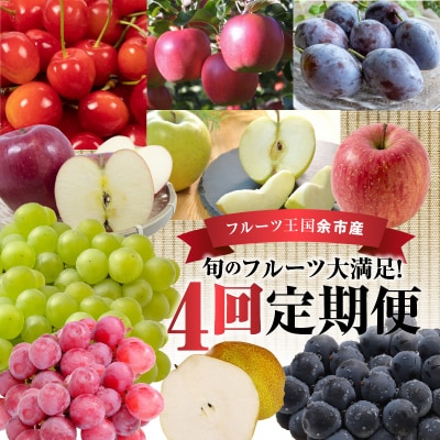 【ニトリ観光果樹園が贈るフルーツ王国定期便!】旬のフルーツ満足の4回発送コース_Y074-0015