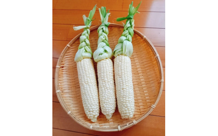 004-23_【７月発】白い贅沢　ピュアホワイト　食べ切り2本