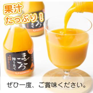 ZE6179n_「まごころ」有田みかん 100％ ジュース 1000ml 6本 セット