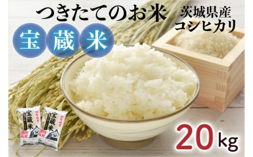 【令和7年産】茨城県産コシヒカリ 宝蔵米 20kg【お米 米 菊池 こしひかり つきたてのお米 食味ランキング特A評価 茨城県 水戸市】（CZ-1008）