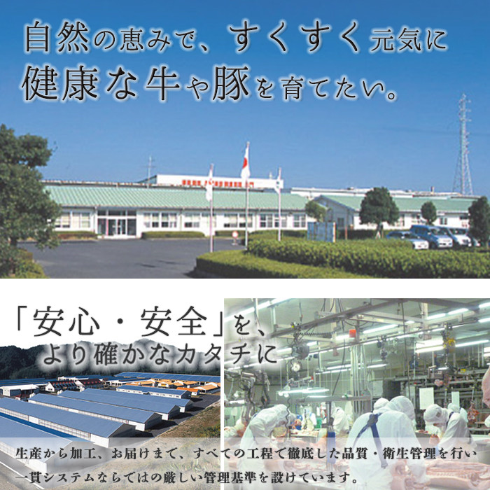 y608 《数量限定・特別企画》R-801 鹿児島黒牛カタローススライスセット(計1.2kg・300g×4P) 国産 九州産 牛肉 黒毛和牛 和牛 国産牛 お肉 スライス すき焼き しゃぶしゃぶ 小分