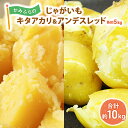 【ふるさと納税】かみふらのじゃがいも「キタアカリ ＆ アンデスレッド」各5kg　 野菜 旬の野菜 北海道産 北海道野菜 国産 国産野菜 グルメ 食材 ポテト 北海道産じゃがいも 　お届け：2024年10月上旬～下旬まで