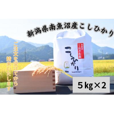 ふるさと納税 南魚沼市 新潟県南魚沼市の豊かな自然が育んだ、極上のコシヒカリ　10kg