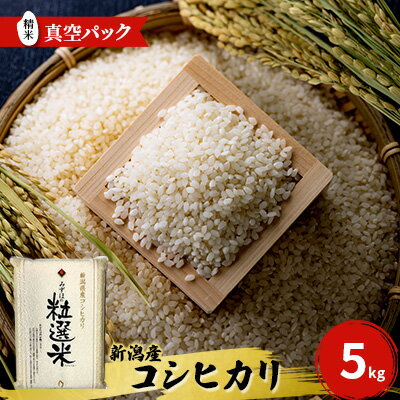 【ふるさと納税】新潟産コシヒカリ精米5kg真空パック 米 コメ こめ お米 おこめ 白米 精米 コシヒカリ こしひかり 5kg ご飯 ごはん 新潟 　お届け：入金確認後、順次発送